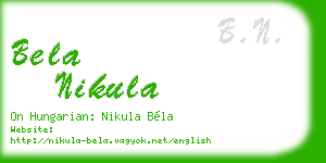 bela nikula business card